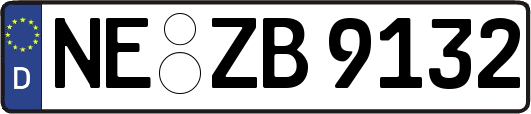 NE-ZB9132