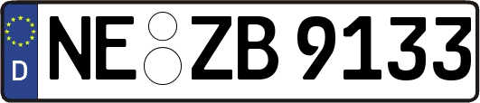 NE-ZB9133