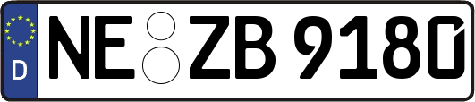 NE-ZB9180
