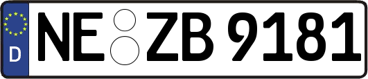 NE-ZB9181