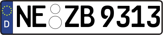 NE-ZB9313