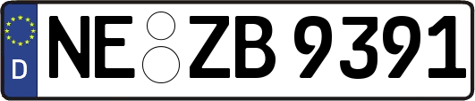 NE-ZB9391