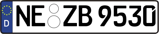 NE-ZB9530