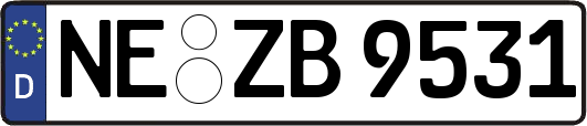 NE-ZB9531