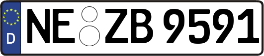 NE-ZB9591
