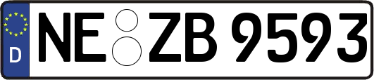 NE-ZB9593