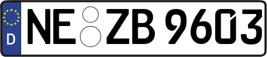 NE-ZB9603