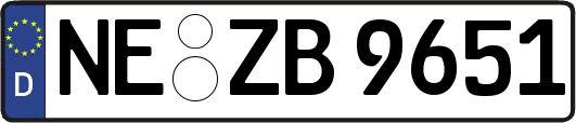 NE-ZB9651