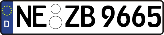 NE-ZB9665