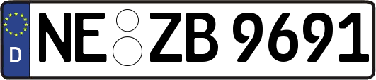 NE-ZB9691