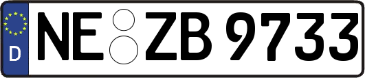 NE-ZB9733