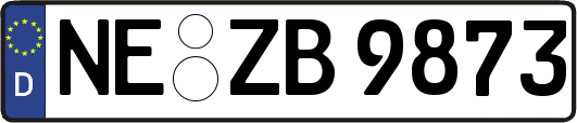 NE-ZB9873