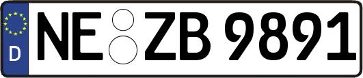 NE-ZB9891