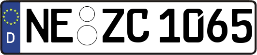 NE-ZC1065