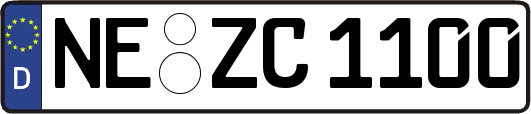 NE-ZC1100