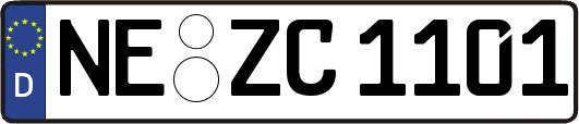 NE-ZC1101