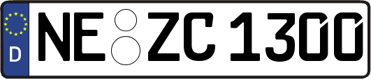 NE-ZC1300