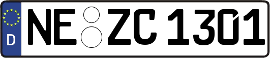 NE-ZC1301
