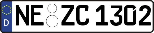 NE-ZC1302