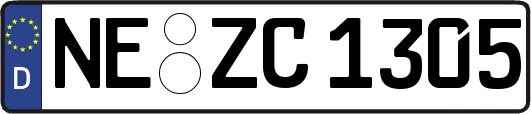 NE-ZC1305