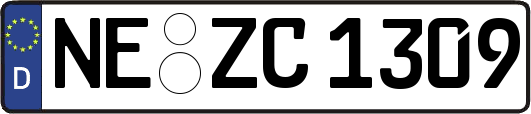 NE-ZC1309