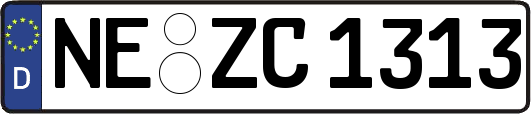 NE-ZC1313