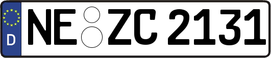 NE-ZC2131