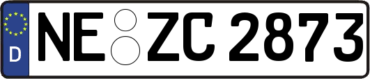 NE-ZC2873