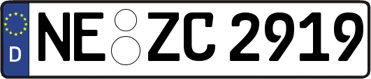 NE-ZC2919