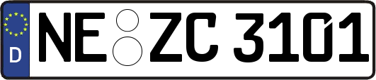 NE-ZC3101