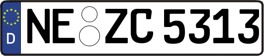NE-ZC5313