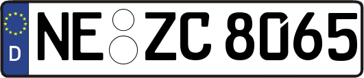 NE-ZC8065