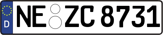 NE-ZC8731