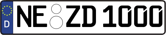 NE-ZD1000