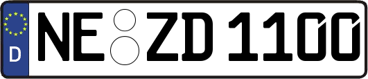 NE-ZD1100