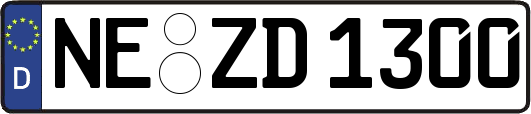 NE-ZD1300