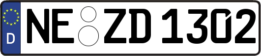 NE-ZD1302