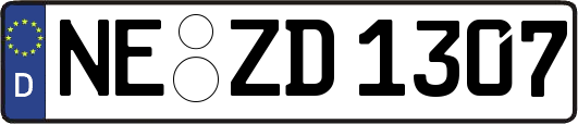 NE-ZD1307