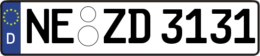 NE-ZD3131