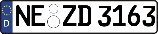 NE-ZD3163