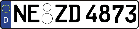 NE-ZD4873