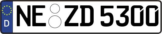 NE-ZD5300