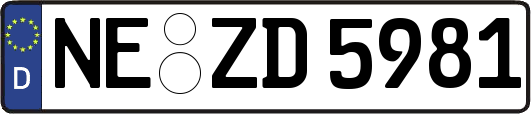 NE-ZD5981