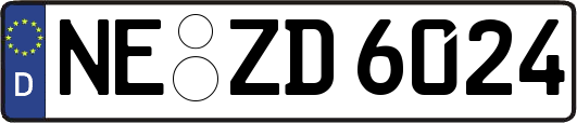 NE-ZD6024