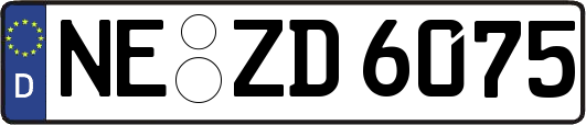 NE-ZD6075