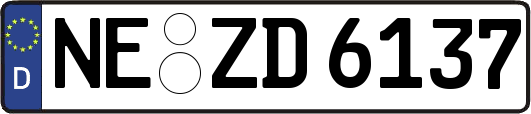 NE-ZD6137