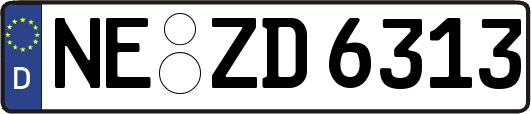 NE-ZD6313