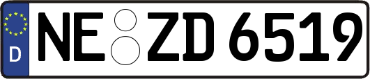 NE-ZD6519