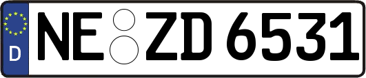 NE-ZD6531