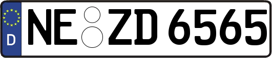 NE-ZD6565